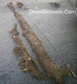 drain root cutting 